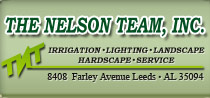 Logo-nelsonteaminc-com.jpg