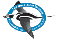 Logo-seaduckjv-org.gif