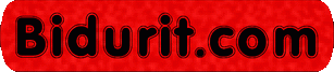 Logo-bidurit-com.gif