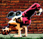 Logo-totalbreaks-com.jpg