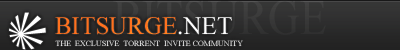 Logo-bitsurge-net.gif