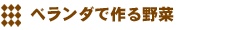 Logo-tokitaseed-co-jp.gif