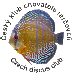 Logo-discus-cz.gif