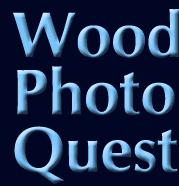 Logo-woodphotoquest-com.gif