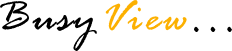 Logo-busyview-co-uk.gif