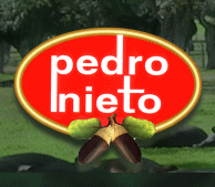 Logo-pedronieto-com.gif