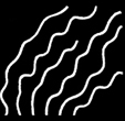 Logo-ilventomuovelerighe-it.jpg