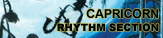 Logo-rockincamel-com.gif