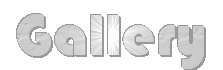Logo-prazno-com.gif
