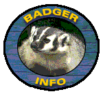 Logo-badgerinfo-com.gif