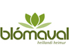 Logo-blomaval-is.gif