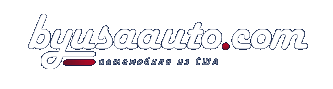 Logo-byusaauto-ru.gif