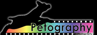 Logo-petographyphotos-com.jpg