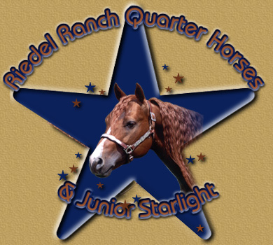 Logo-riedelquarterhorses-com.jpg