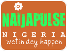 Logo-naijapulse-com.png