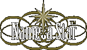 Logo-nameastar-com.gif