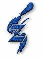 Logo-totalskin-com.gif