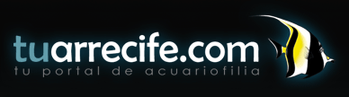 Logo-tuarrecife-net.gif
