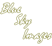 Logo-blueskyphoto-com.png