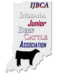 Logo-ijbca-org.jpg
