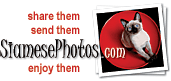 Logo-siamesephotos-com.gif