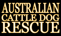 Logo-australiancattledogrescue-com.gif