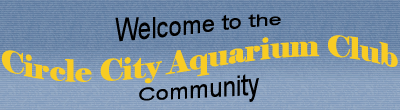 Logo-circlecityaqclub-org.gif