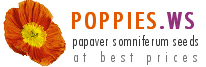 Logo-poppies-ws.png