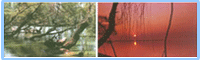 Logo-ytourer-com.gif