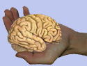 Logo-mnemotechnik-info.jpg