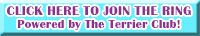 Logo-terrierclub-com.gif