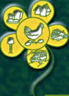 Logo-pentrebach-com.jpg