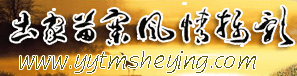 Logo-yytmsheying-com.gif