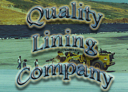 Logo-qlining-com.gif