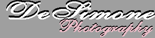 Logo-desimonephotography-com.jpg