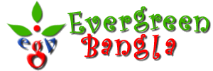Logo-evergreenbangla-com.gif