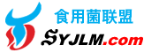 Logo-syjlm-com.gif