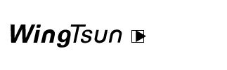 Logo-wingtsun-de.gif