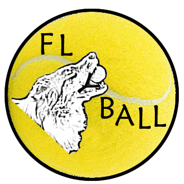 Logo-flyball-ch.gif