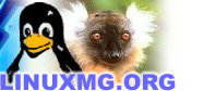 Logo-malagasy-org.jpg