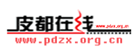 Logo-pdzx-org-cn.gif
