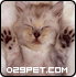 Logo-029pet-com.gif