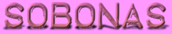 Logo-sobonas-com.png