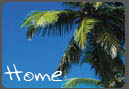 Logo-varcapalmsgoa-com.jpg