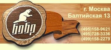 Logo-bobr-smp-ru.jpg