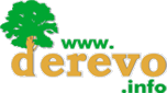 Logo-derevo-info.gif