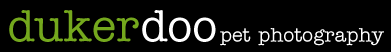 Logo-dukerdoo-com.gif
