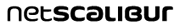 Logo-netscalibur-it.gif