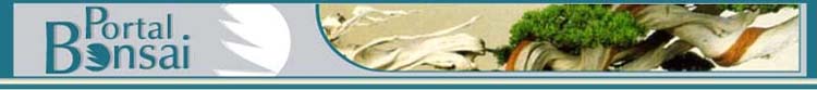 File:Logo-portalbonsai-com.jpg