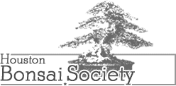 Logo-houstonbonsai-com.gif
